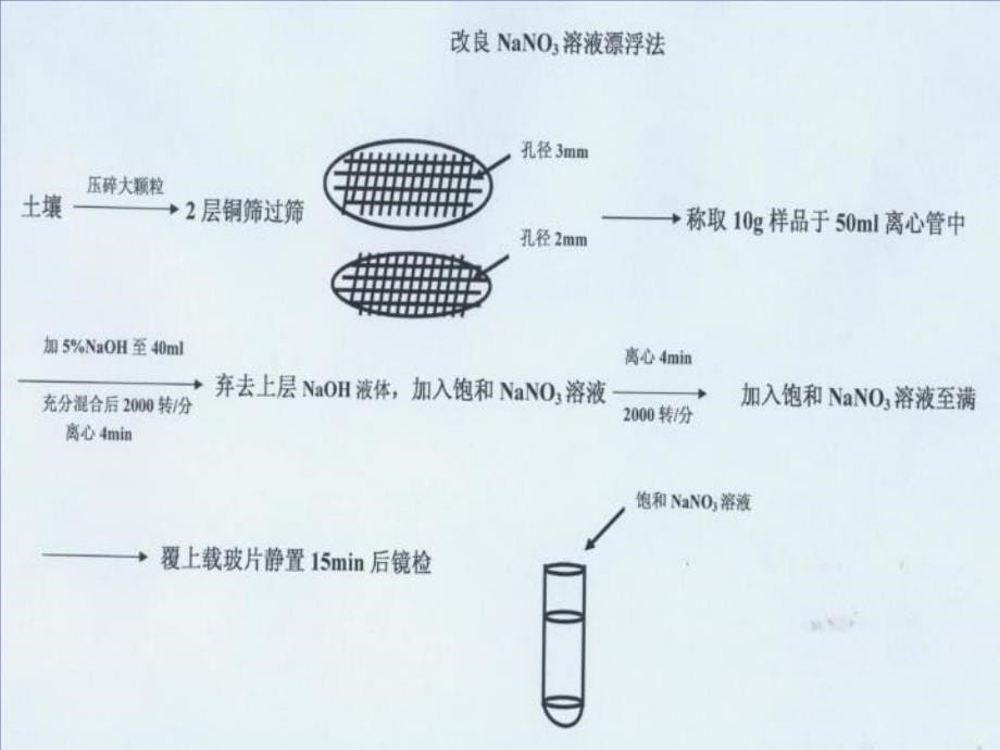 最新土壤中蛔虫卵的检查及活力测定法ppt课件_第5页