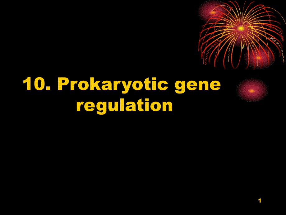 原核生物基因表达调控_第1页