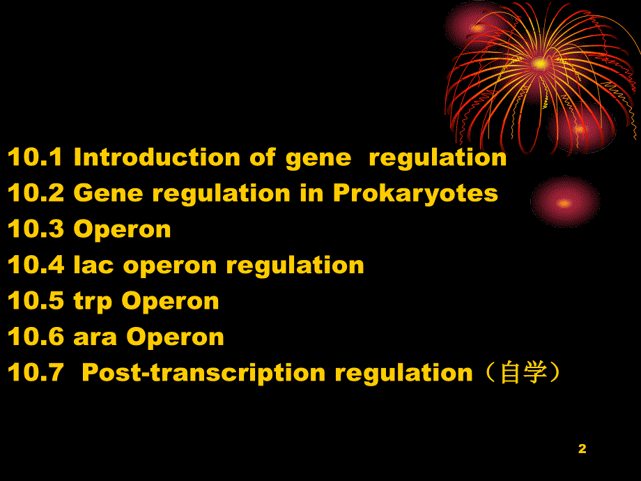 原核生物基因表达调控_第2页