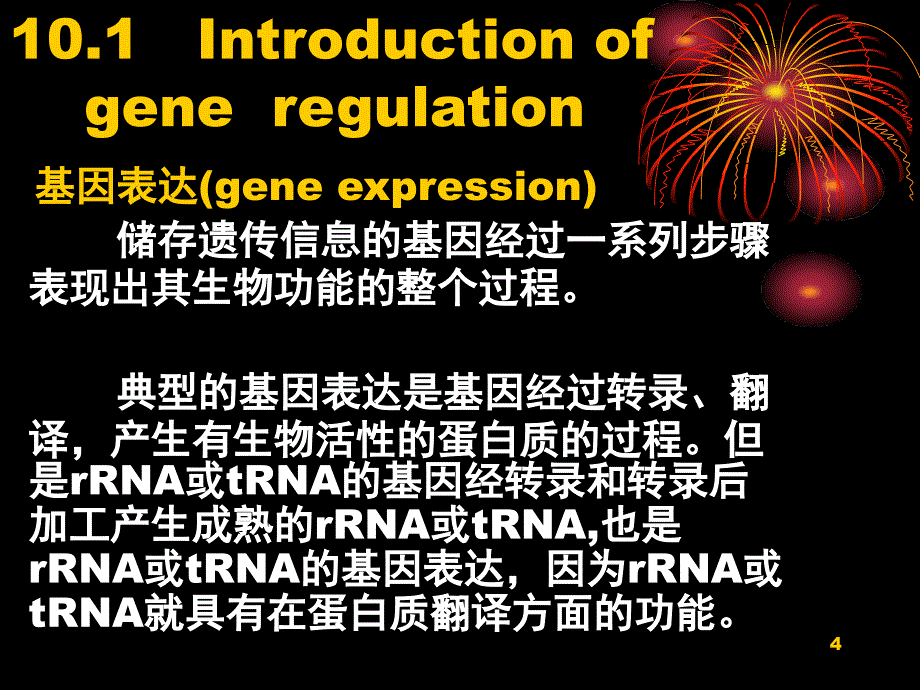 原核生物基因表达调控_第4页