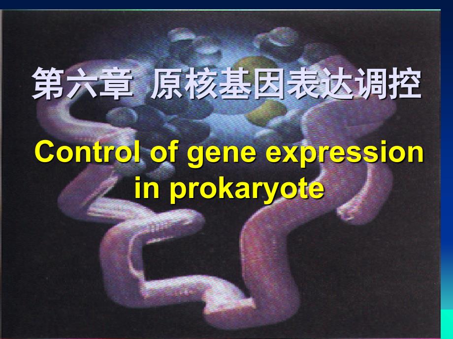 [理学]第章 原核基因表达调控_第1页