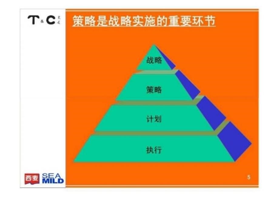 最新太是咨询西麦咨询项目营销策略建议教学课件_第5页