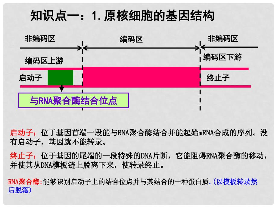 高中生物：专题教学课件(共7套)人教选修3基因工程的操作步骤_第4页