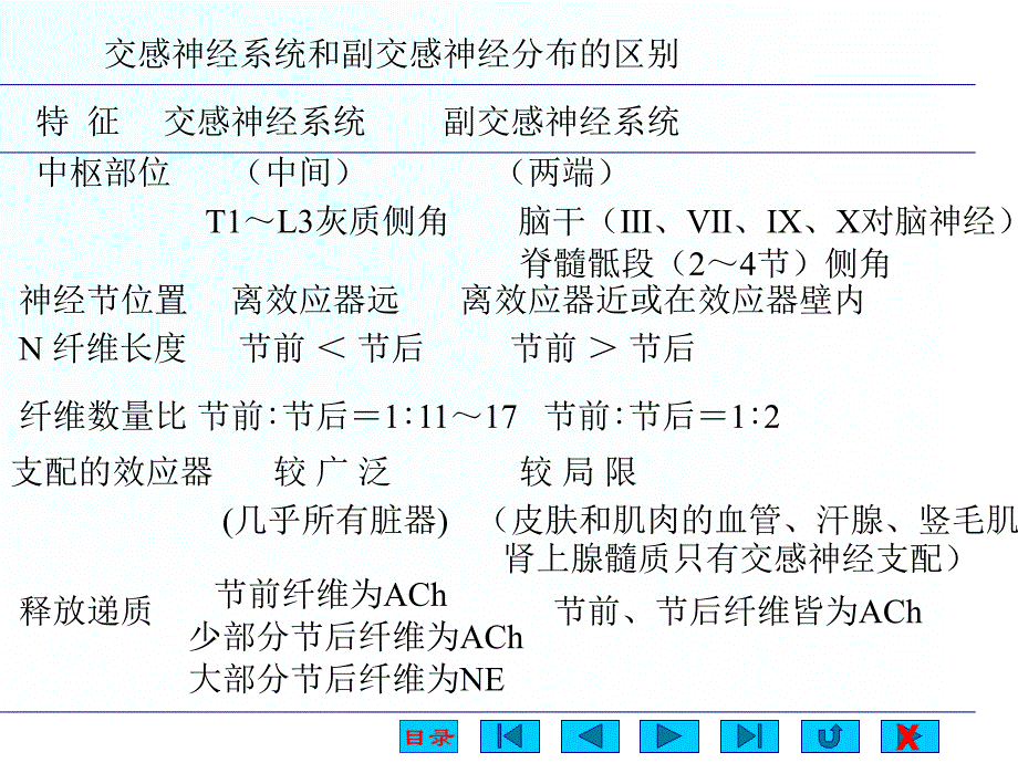 神经系统对内脏课件_第2页