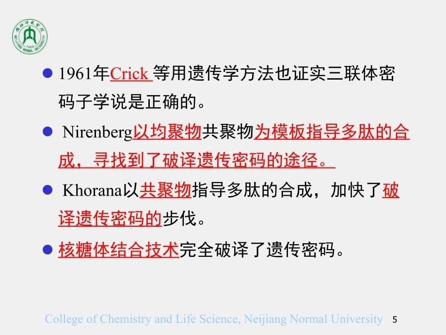 第13章蛋白质生物合成_第5页