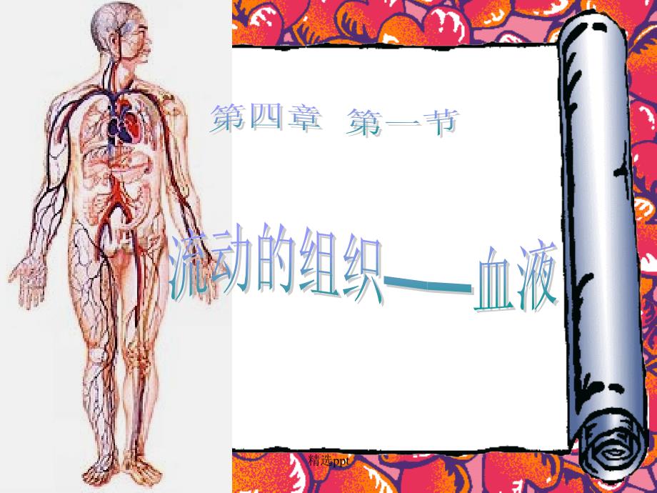 流动的组织血液完整版_第1页