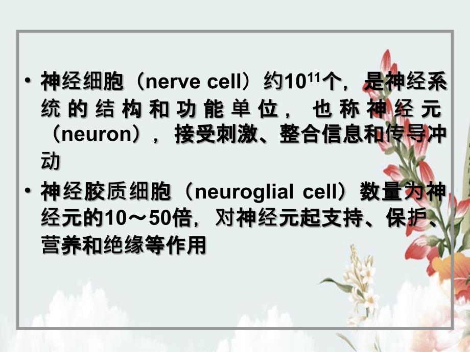 组织与胚胎学第7章神经组织_第4页