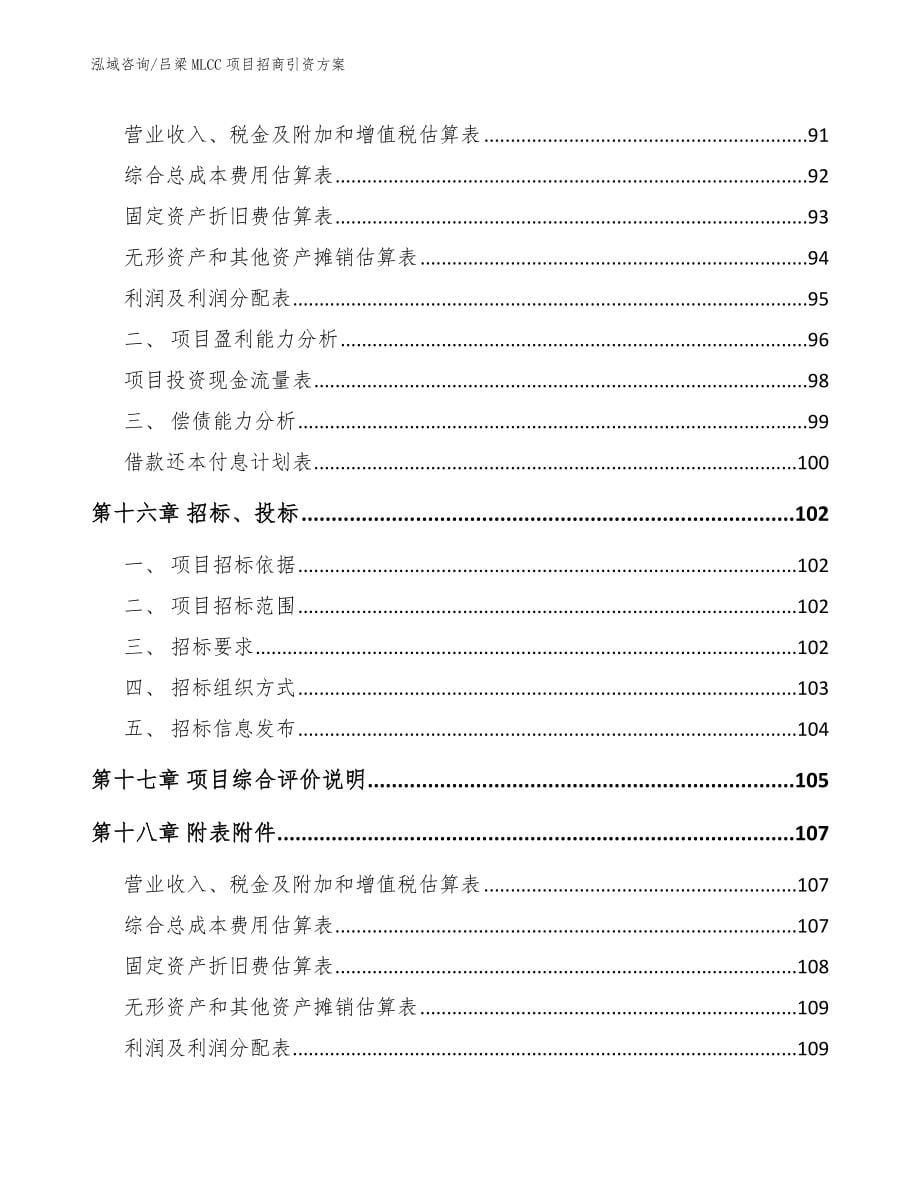 吕梁MLCC项目招商引资方案_第5页