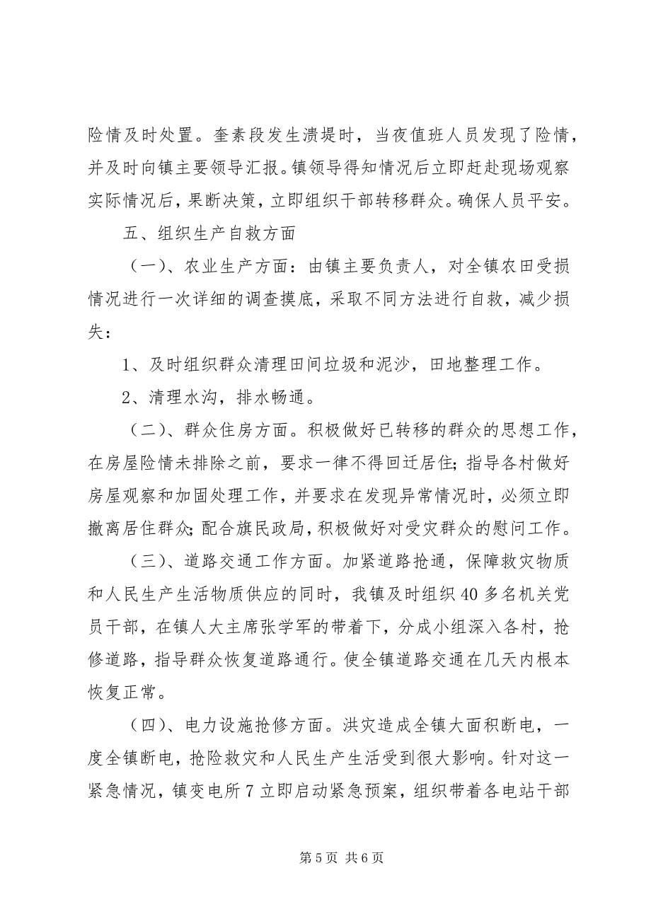 2023年政府救灾先进事迹材料.docx_第5页