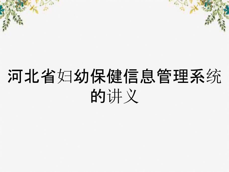 河北省妇幼保健信息管理系统的讲义_第1页
