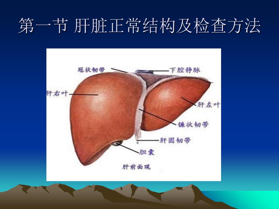 超声检查肝脏PPT课件_第3页