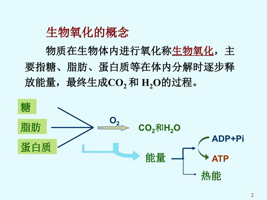 生物化学：第七章 生物氧化_第2页