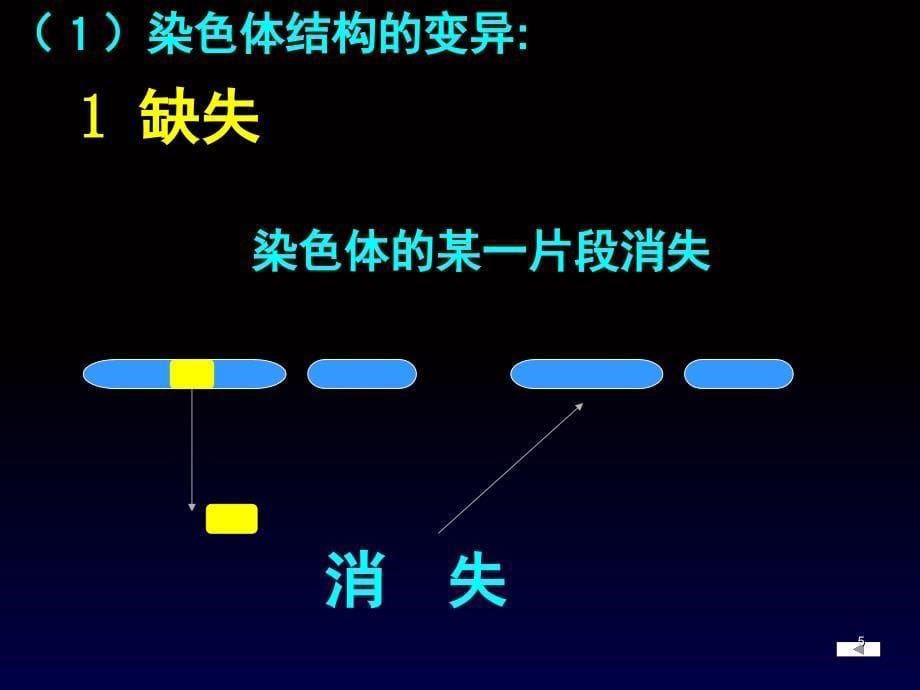 染色体变异正式版.课堂PPT_第5页