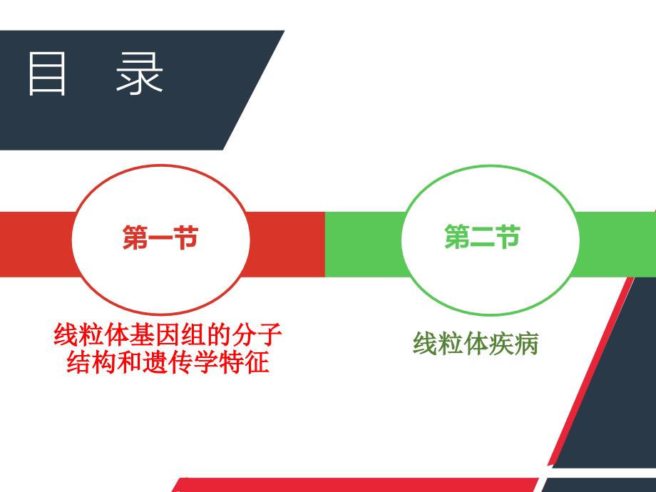 医学遗传学：第八章 线粒体遗传病_第2页