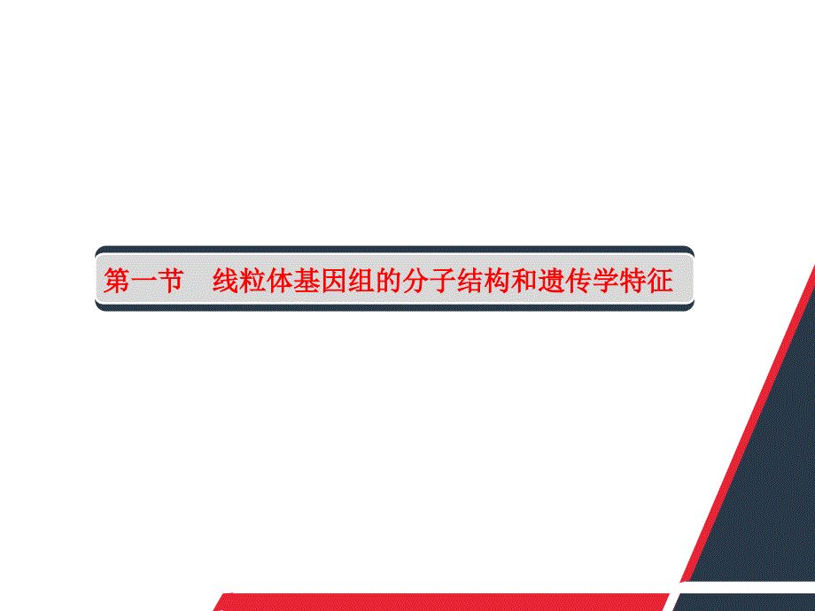 医学遗传学：第八章 线粒体遗传病_第3页