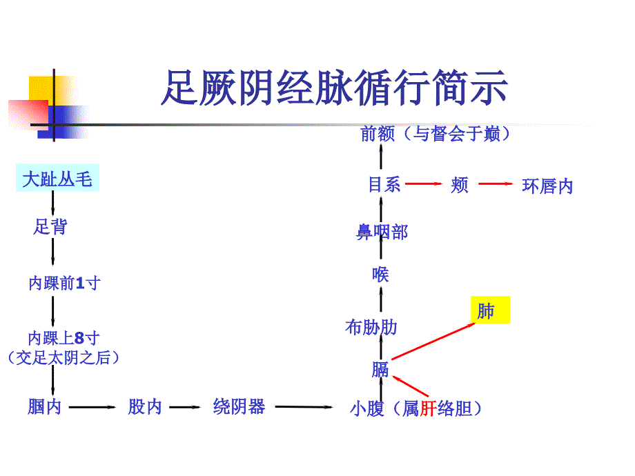 人体经络穴位图谱12肝经_第3页