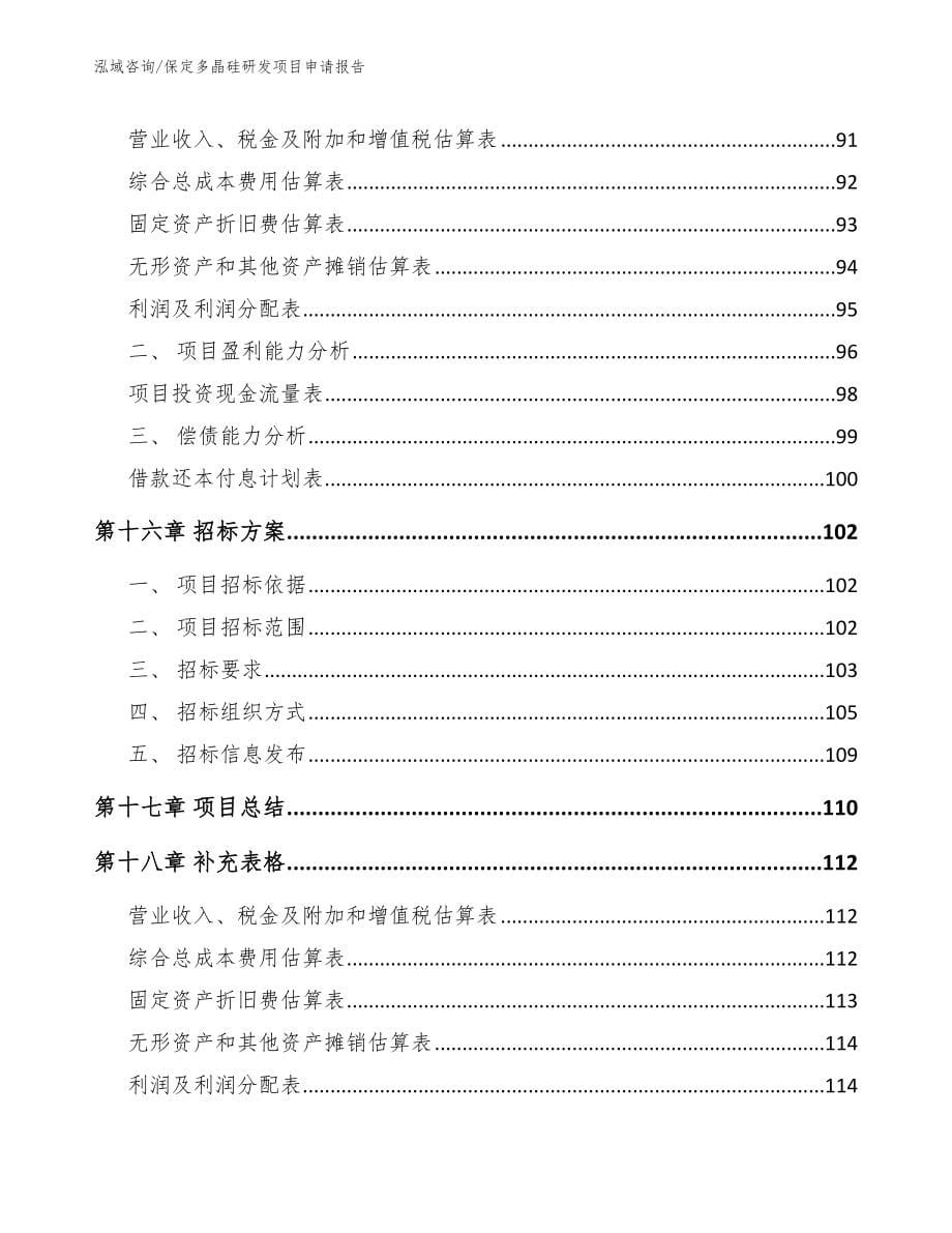 保定多晶硅研发项目申请报告模板范本_第5页