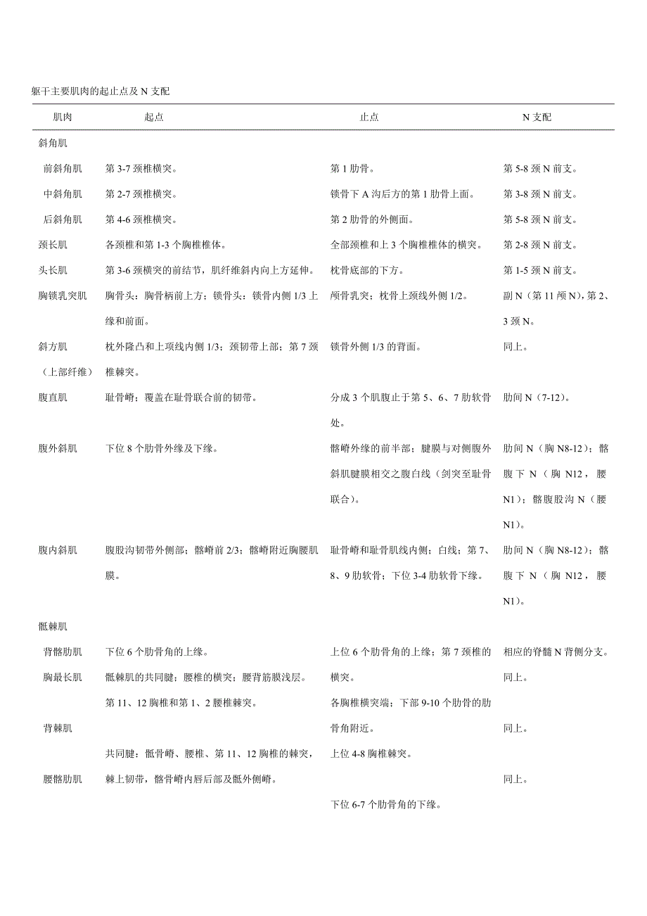 MMT躯干主要肌肉.doc_第4页