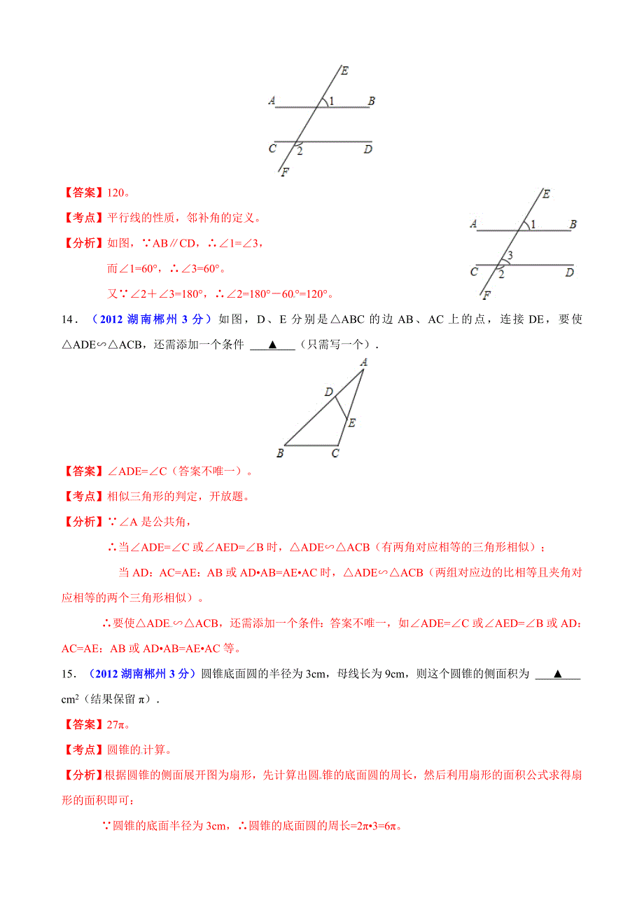 中考数学卷精析版郴州卷_第4页