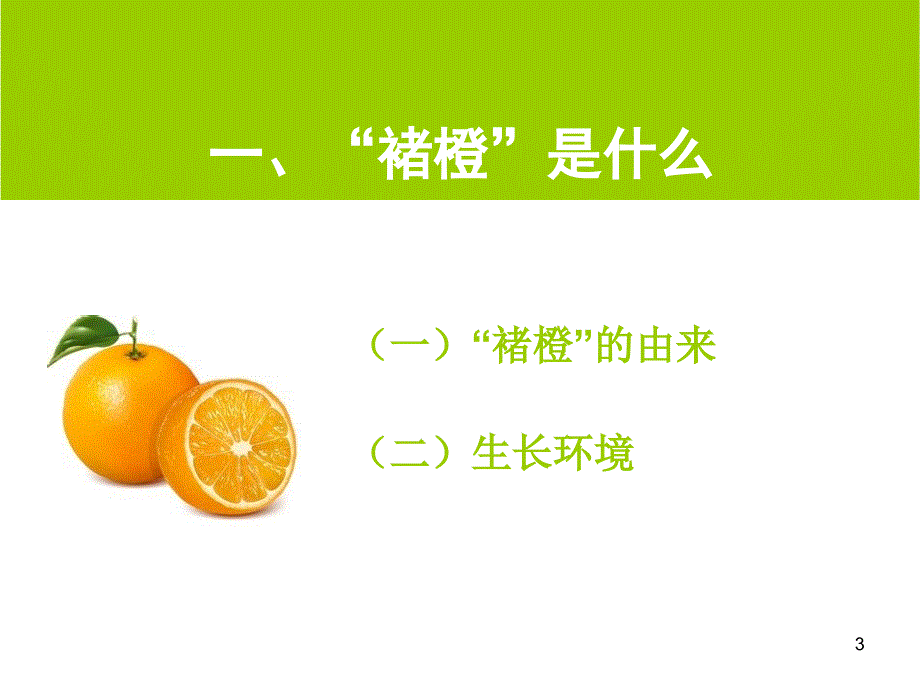 营销案例分析：褚橙.ppt_第3页