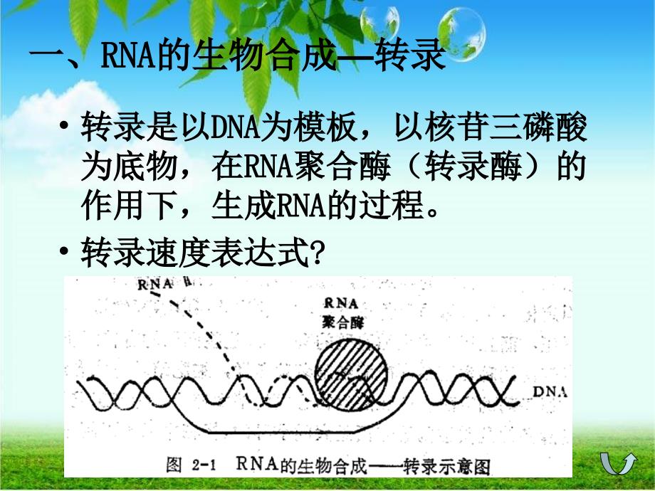 酶工程 2酶的发酵生产_第4页