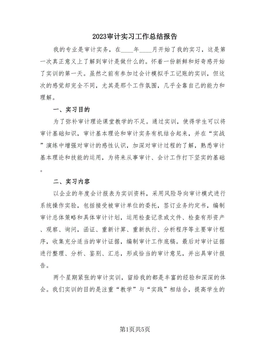 2023审计实习工作总结报告（2篇）.doc_第1页