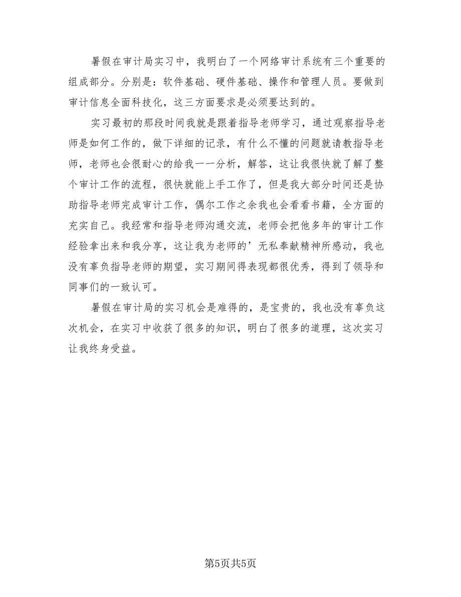 2023审计实习工作总结报告（2篇）.doc_第5页