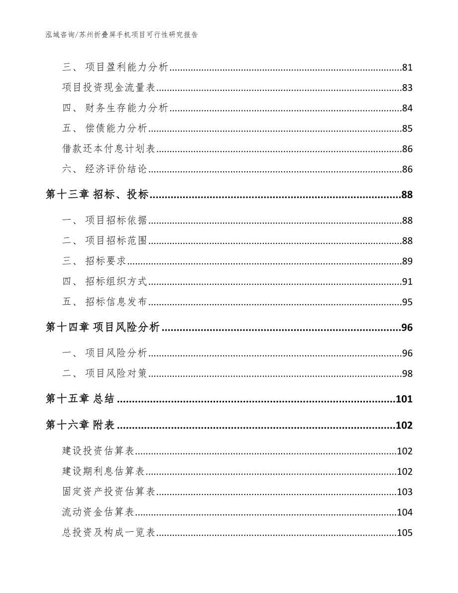 苏州折叠屏手机项目可行性研究报告_范文模板_第5页