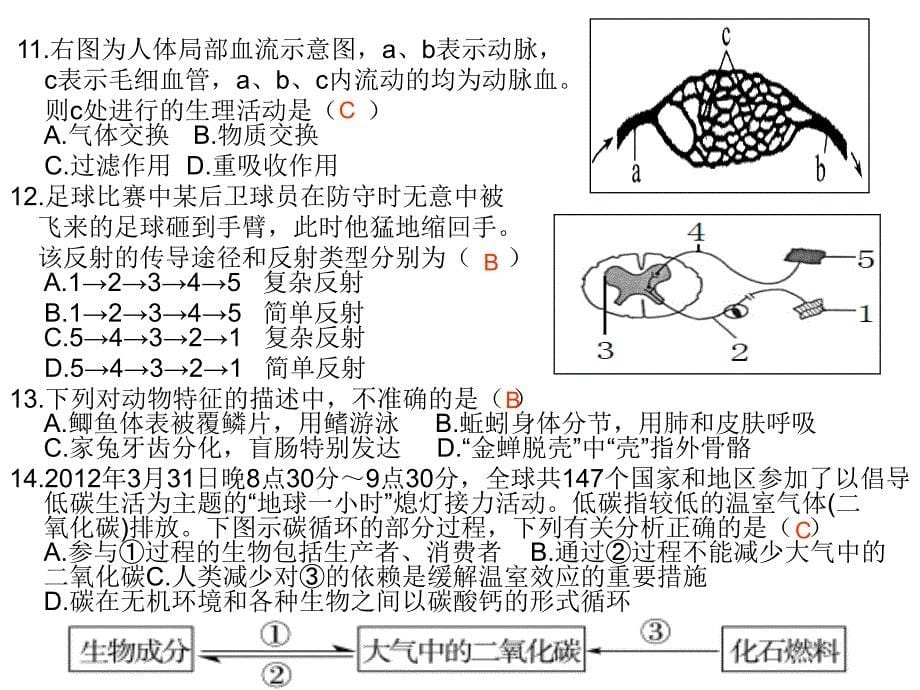 临沂八年级样题_第5页