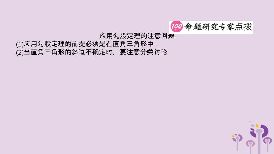 山东省滨州市2019中考数学 第四章 几何初步与三角形 第五节 直角三角形课件_第3页