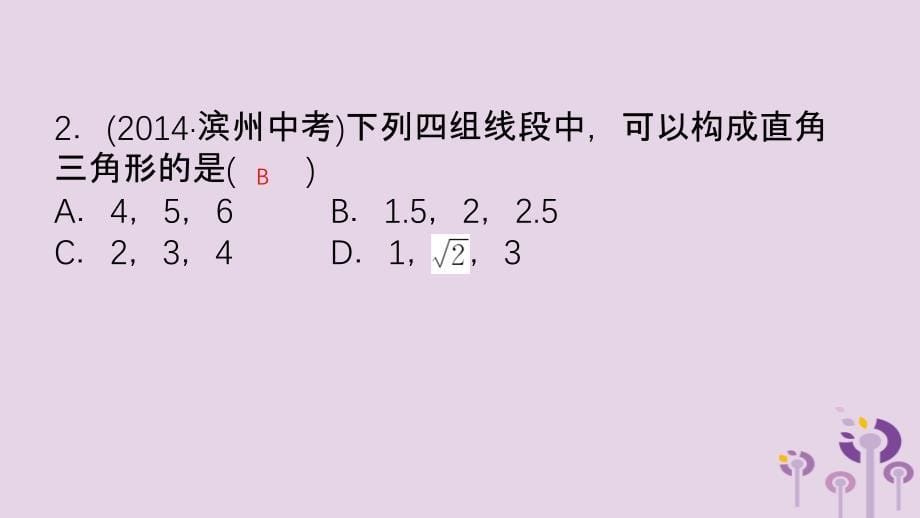 山东省滨州市2019中考数学 第四章 几何初步与三角形 第五节 直角三角形课件_第5页