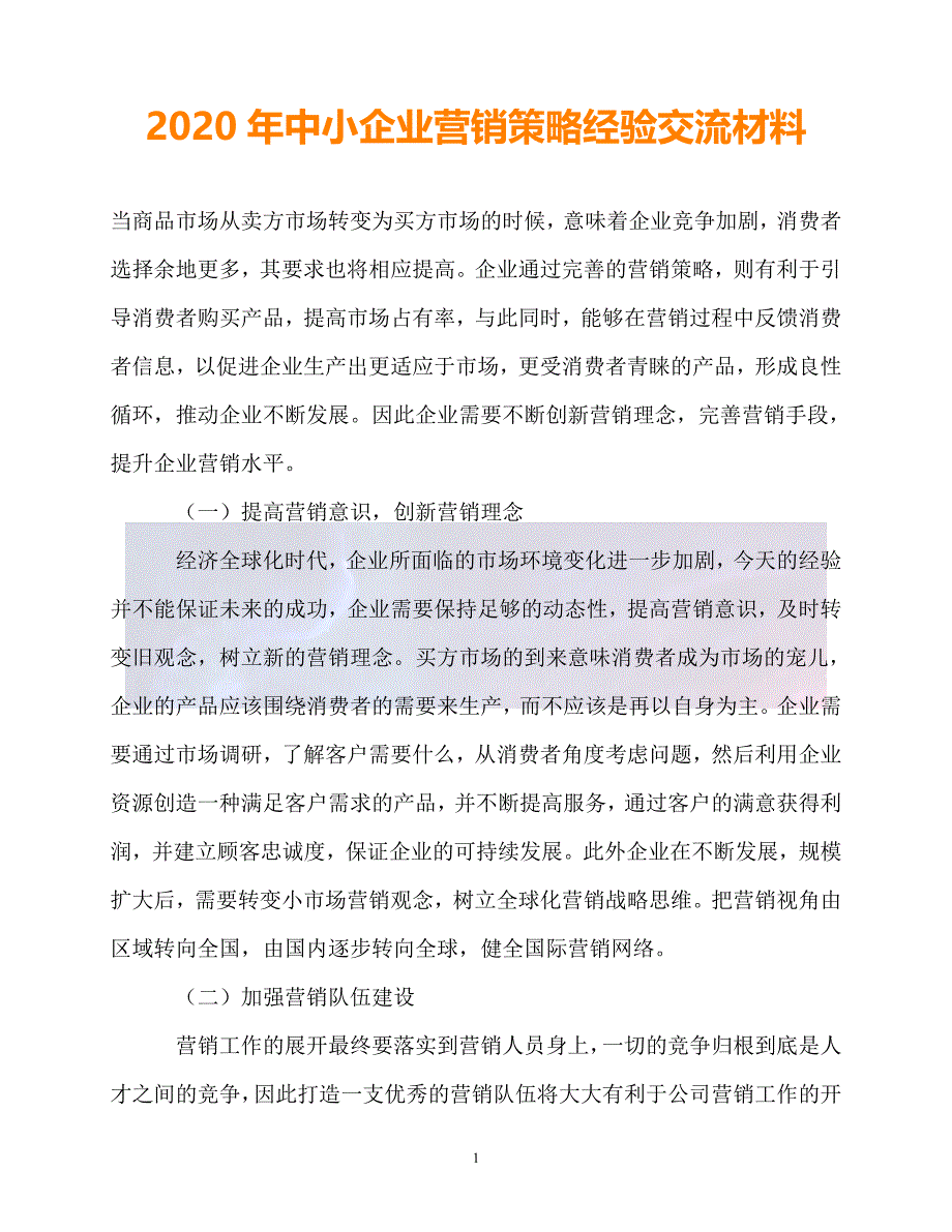 202X最新中小企业营销策略经验交流材料_第1页