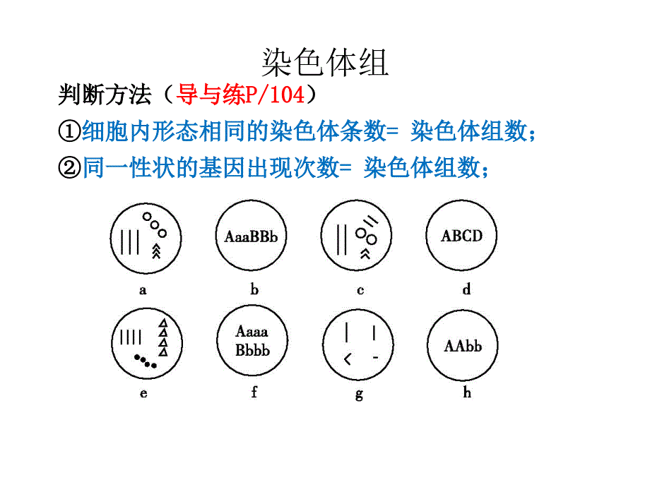 染色体组和同源染色体概念辨析_第4页