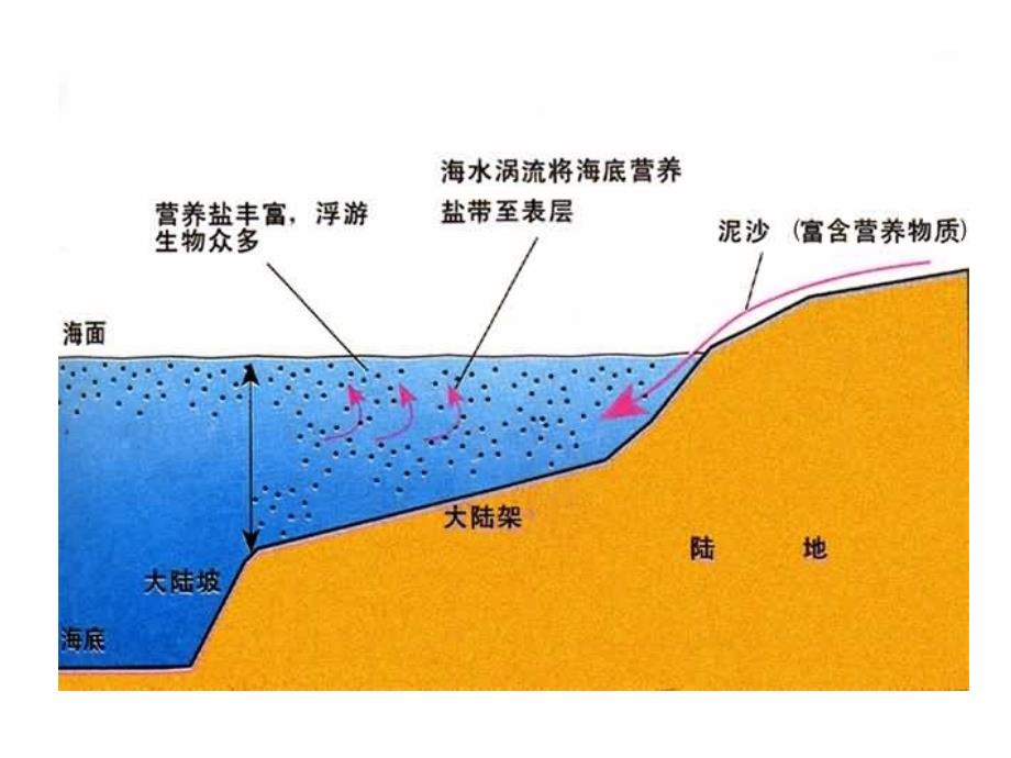 采集地幔物质课件_第3页