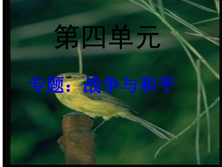 13夜莺的歌声公开课_第1页