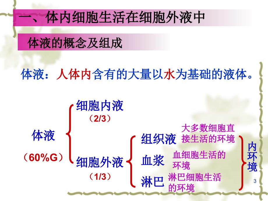 1.1细胞生活的环境优秀课件_第3页