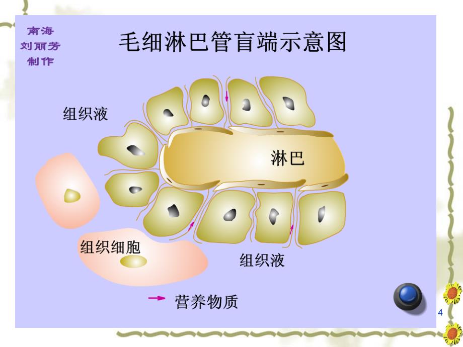 1.1细胞生活的环境优秀课件_第4页