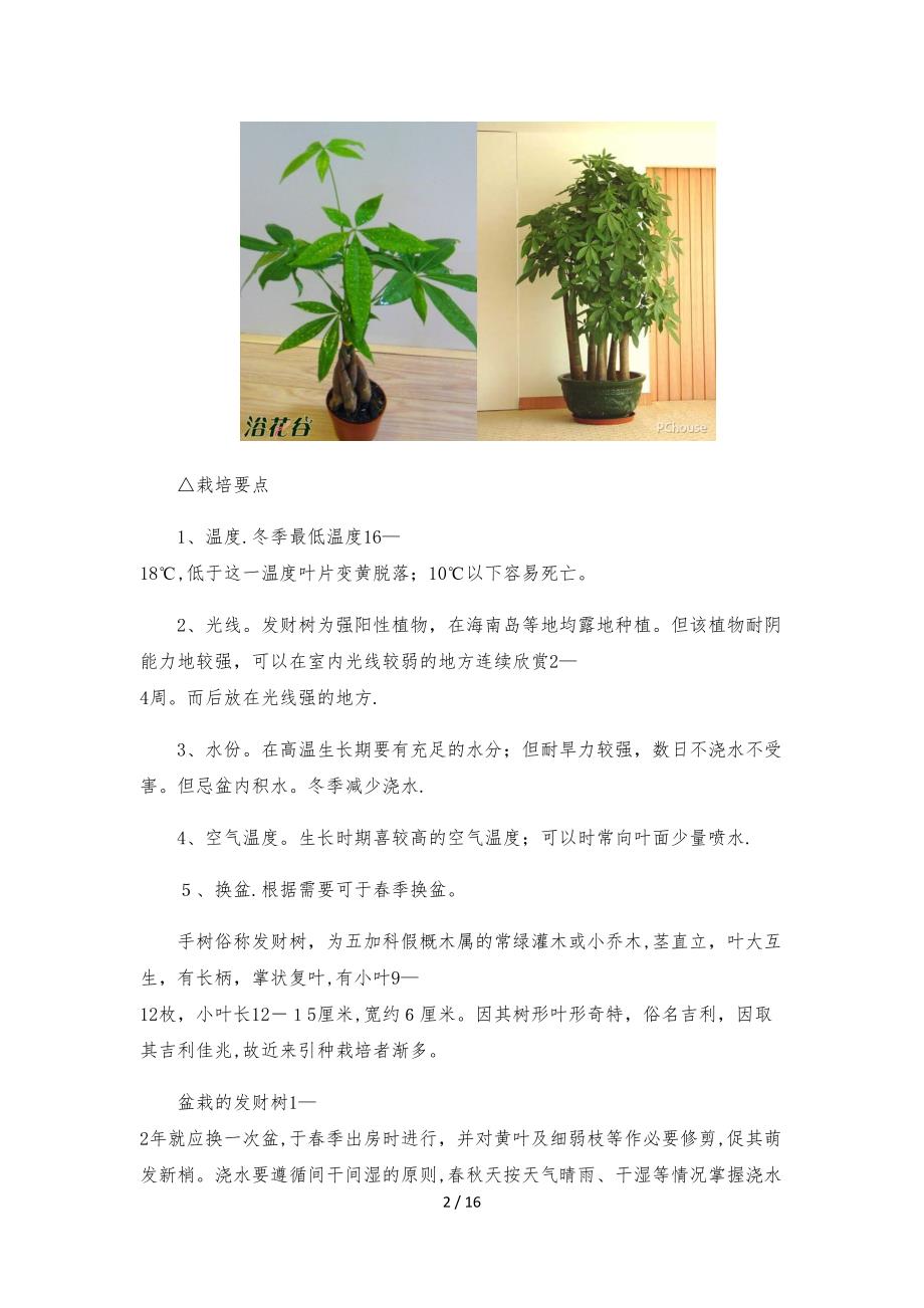 办公室绿植养殖方法及注意事项_第2页