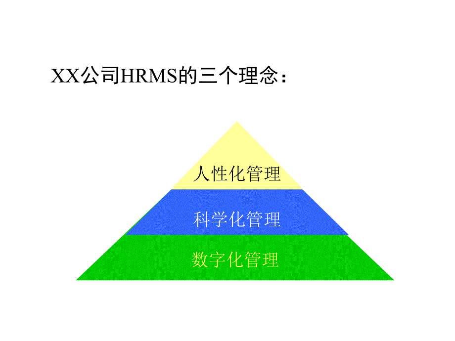 某公司ehr解决方案_第4页