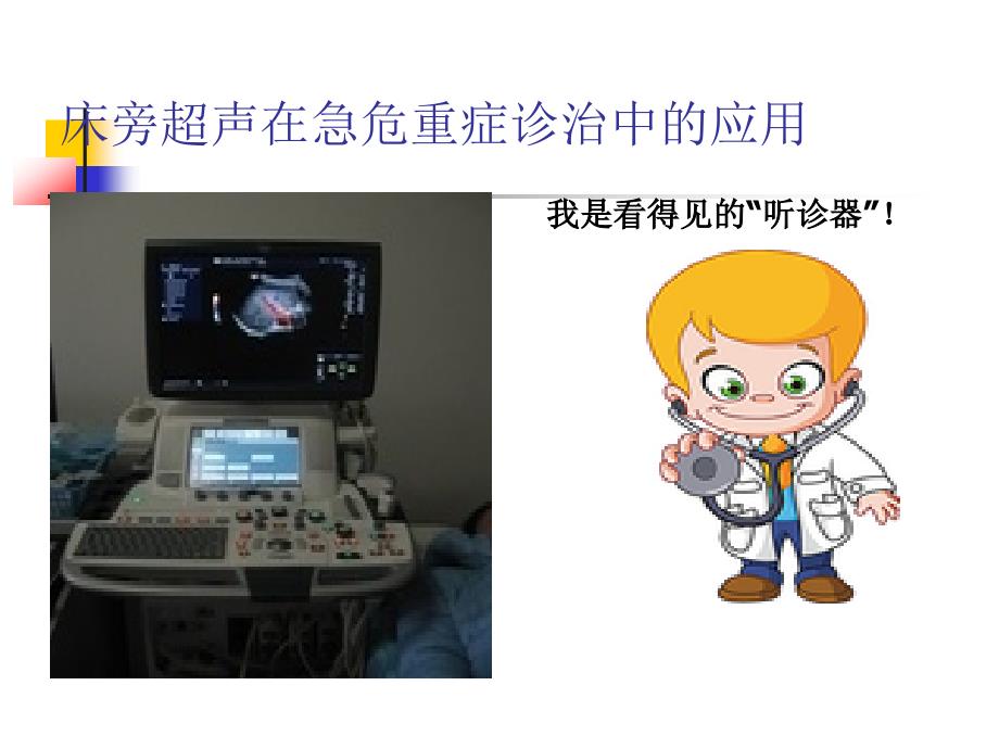 床旁超声在急危重症诊治中的应用_第3页