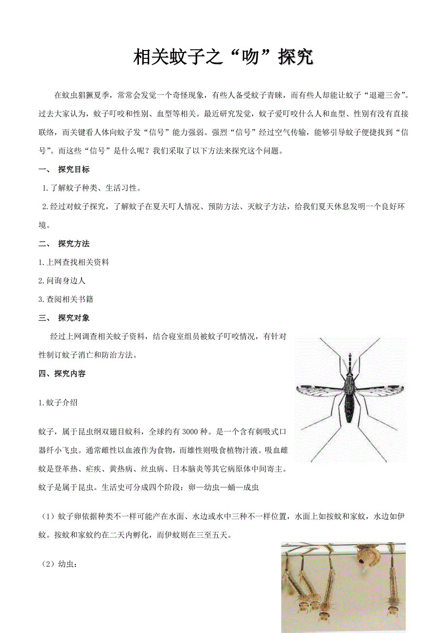 关蚊子的调查研究报告.doc_第2页