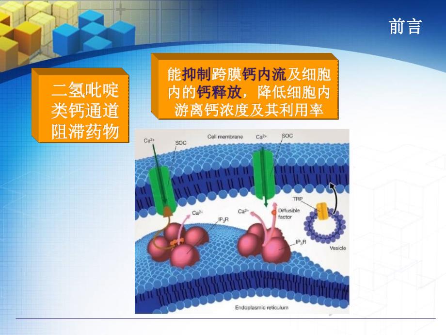 二氢吡啶类钙通道阻滞药物的分析.ppt_第4页