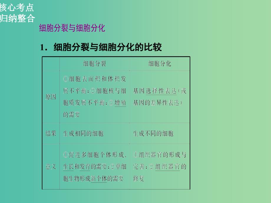 高三生物二轮复习 第一部分 知识落实篇 专题三 细胞的生命历程 第2讲 细胞的分化、衰老、凋亡和癌变课件.ppt_第2页