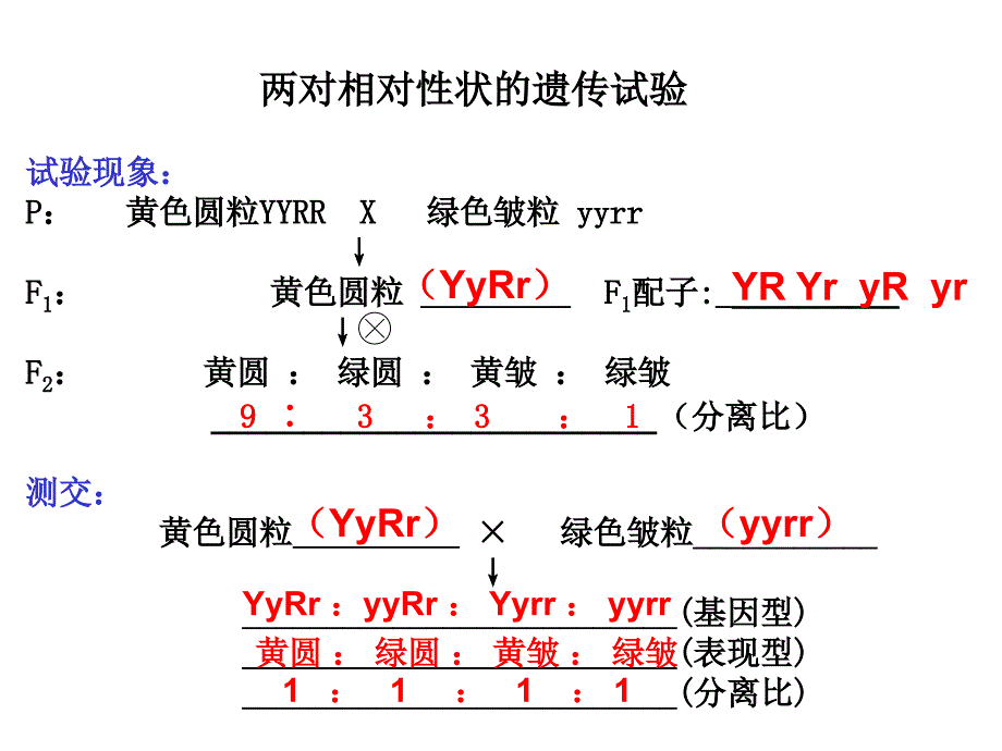 高中生物必修精要知识点背默列单_第4页