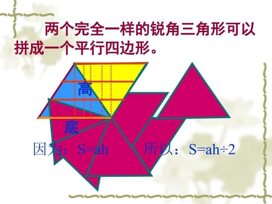 北师大版五年级上册数学图形与面积的总复习_第5页