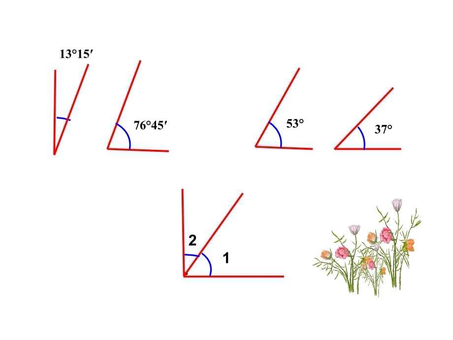 华师大版七年级数学上册463余角和补角课件_第5页