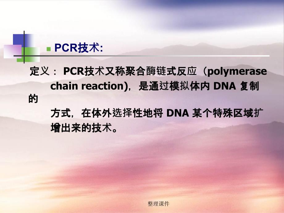 pcr聚合酶链式反应_第2页