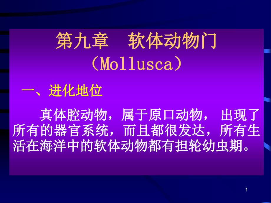 9-软体动物门_第1页