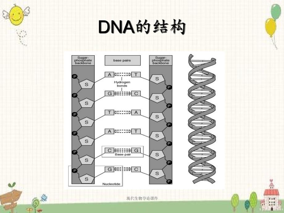 现代生物导论课件_第4页