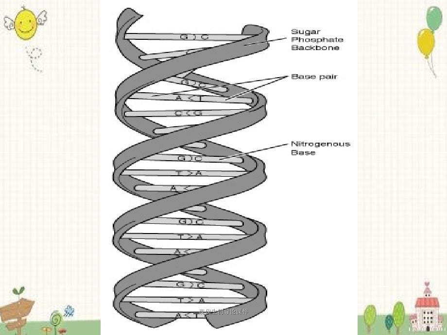 现代生物导论课件_第5页